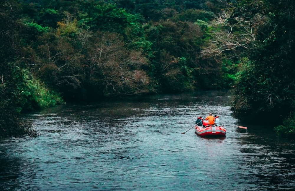 Leuke activiteiten in Suriname voor een unieke vakantie